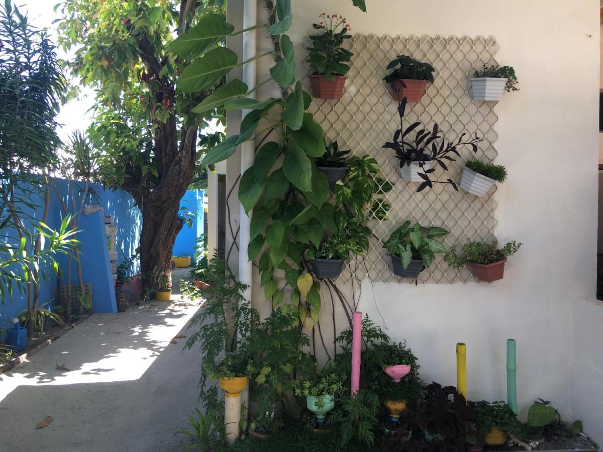 Midsummer טלאוסדו מראה חיצוני תמונה